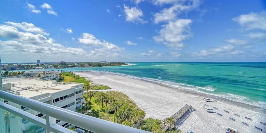 A bright, calm Sarasota outdoor scene — gulf view, palm trees, clear summer sky